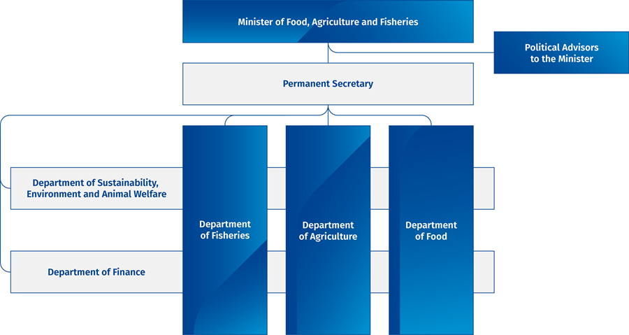 Organizational Chart