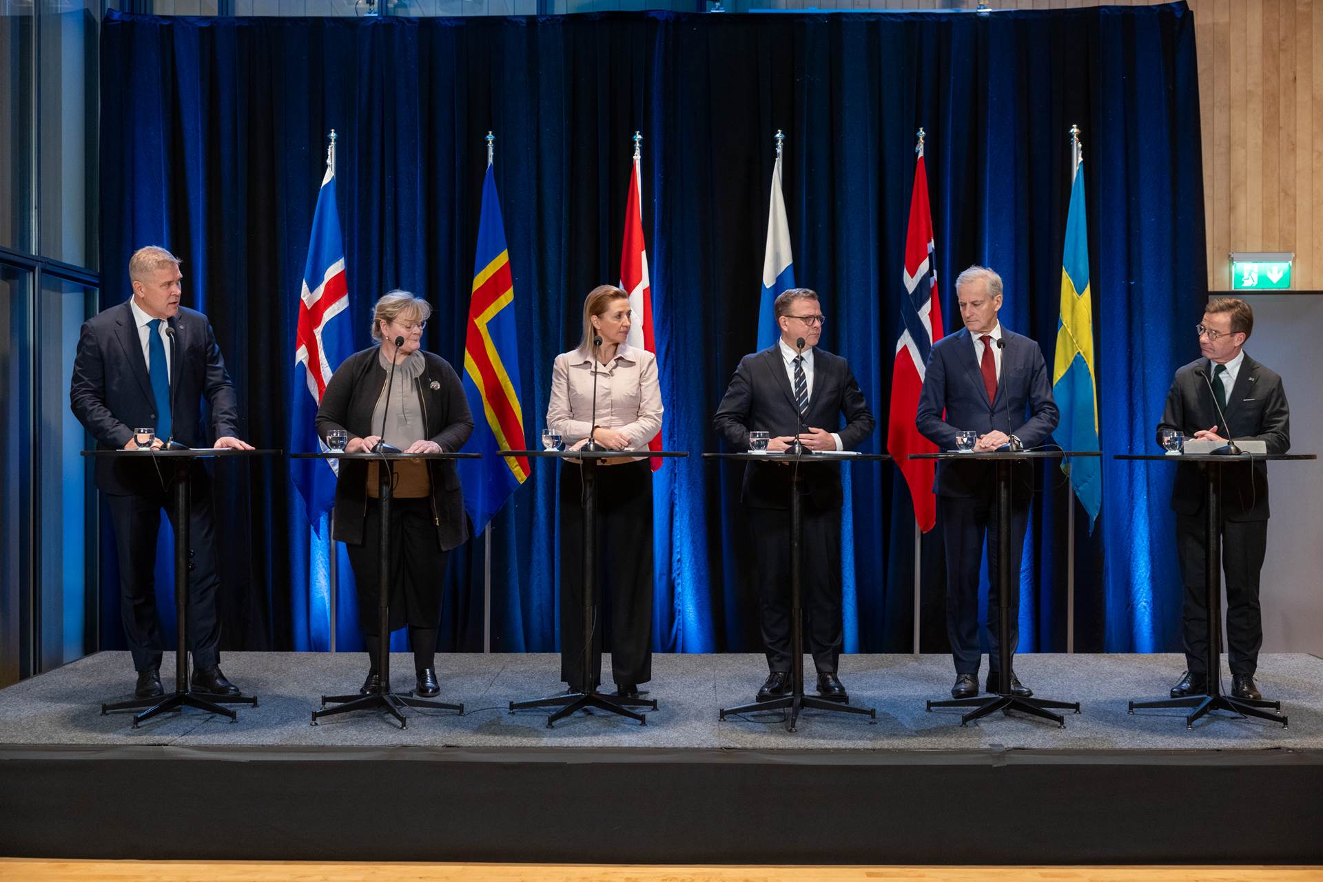 Declaration by the Nordic Prime Ministers - mynd